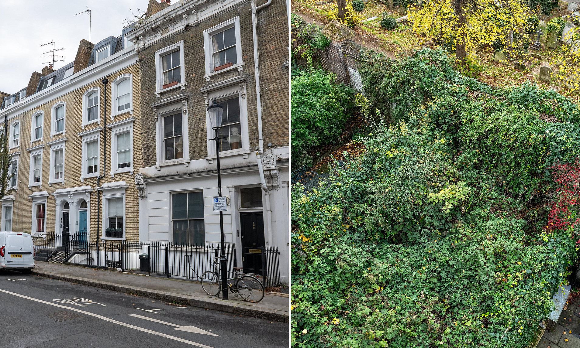 Owner of £4m Chelsea home with 10ft-high knotweed garden is ordered to ...