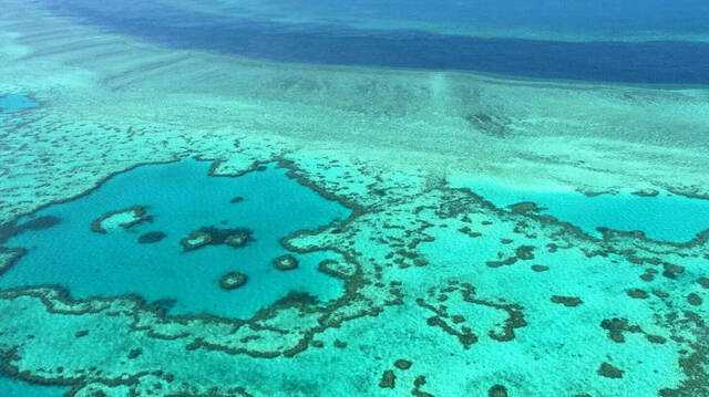 Australia's urgent call to protect the Great Barrier Reef