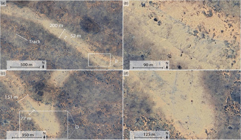 A man spotted a massive 11-kilometer scar on Google Earth in Australia ...