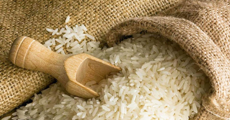 Riso, la UE non cambia la soglia per l’import a dazio zero. I ...