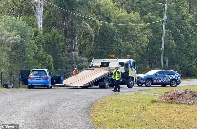 Freak accident kills woman out for walk with her pet dog after car ...