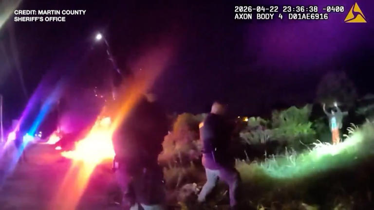 Watch: Florida man with katana, 'tiki torch' arrested after setting ...