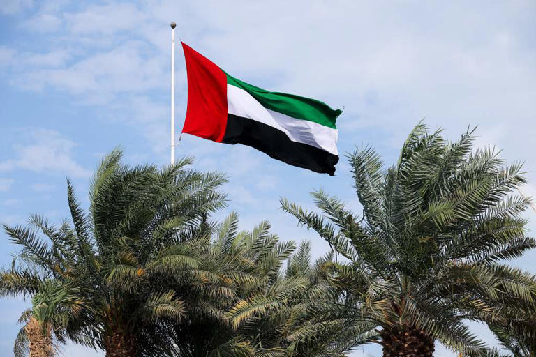 The UAE has quit OPEC. What does it mean for the future of oil?