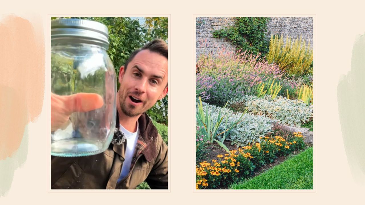 Try Michael Griffiths' simple soil hack to pick the right plants for ...