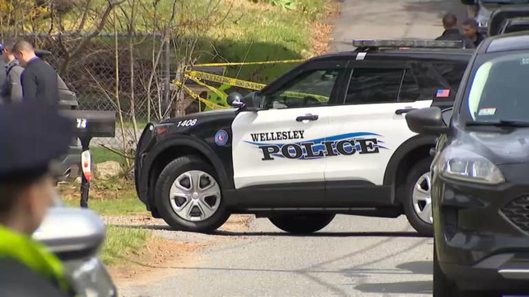 Wellesley mom accused of killing 2 kids expected in Mass. court today