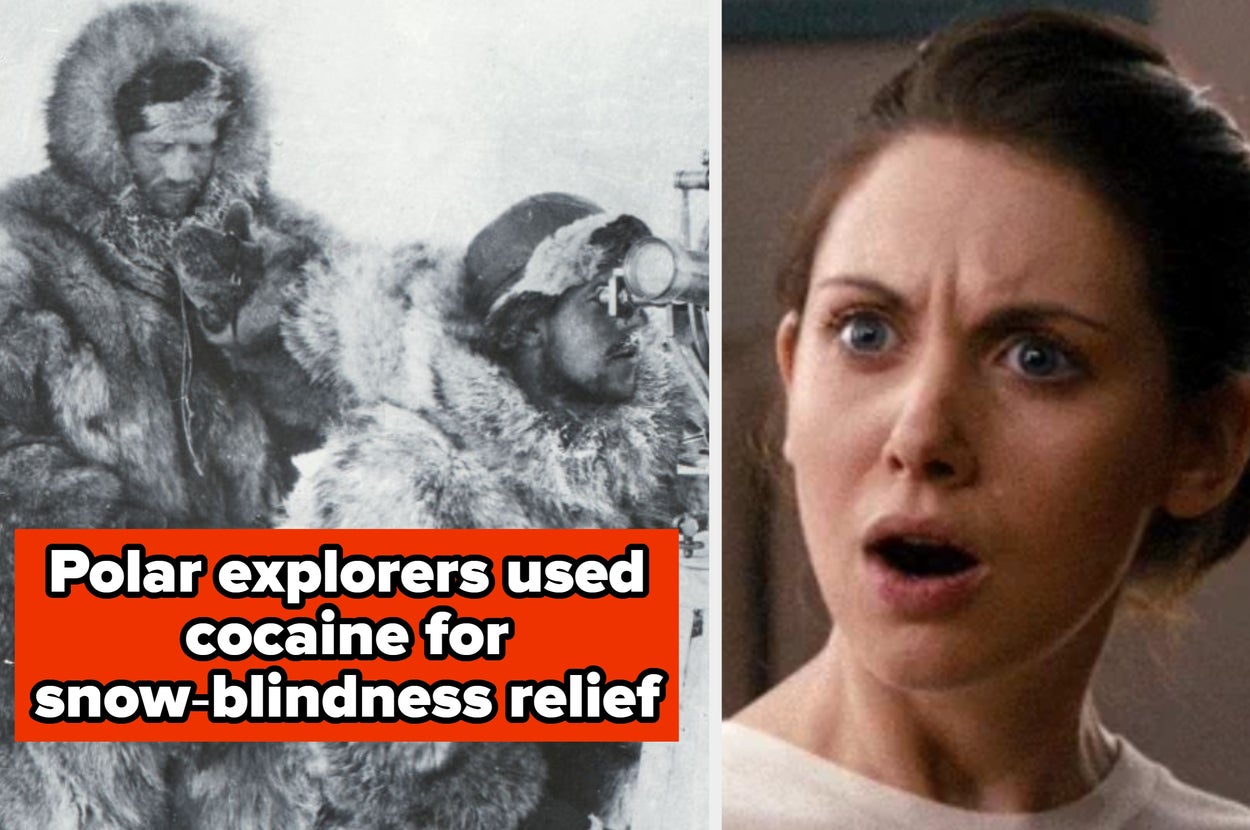 35 curious and slightly unusual facts that most people don’t actually ...