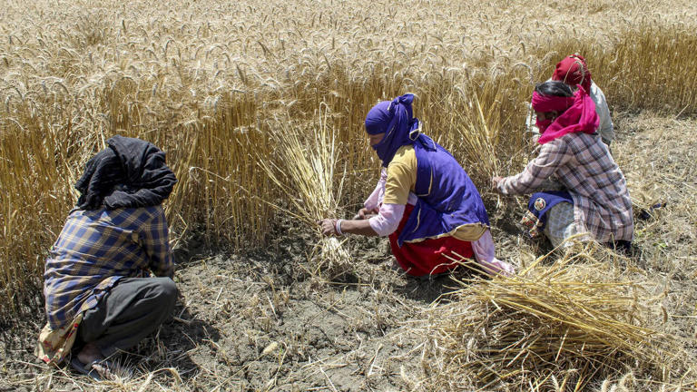 How the US-Iran war is driving a global food crisis