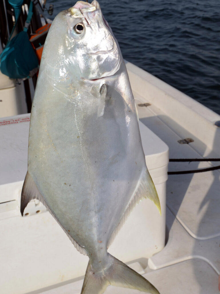 Fishing guide to Florida's Forgotten Coast