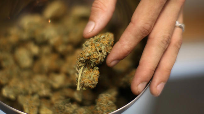 Tennessee lawmakers split as DOJ shift reignites push for medical ...
