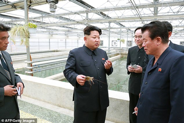 Pictured: North Korean leader Kim Jong-Un (C) inspecting the Taedonggang terrapin farm in Pyongyang in 2015.  A manager was executed after all the baby terrapins at the farm died, with sources saying he was shot dead shortly after Kim berated officials during a visit