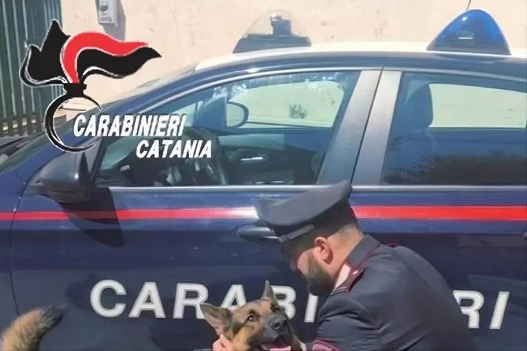 Usa il cane come antifurto chiuso in auto: salvato dai carabinieri ...