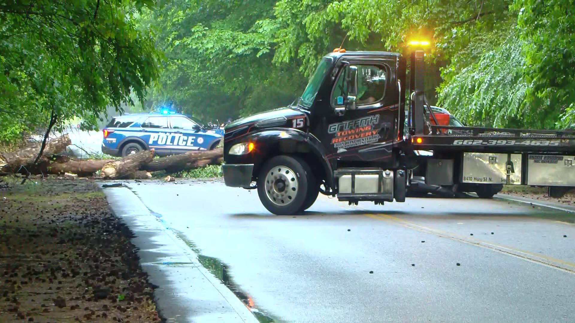 Driver injured, crashes into tree in Southeast Memphis, police say