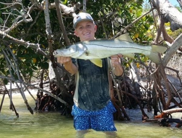 Lines tighten as snook season hits the brakes along Florida’s west coast