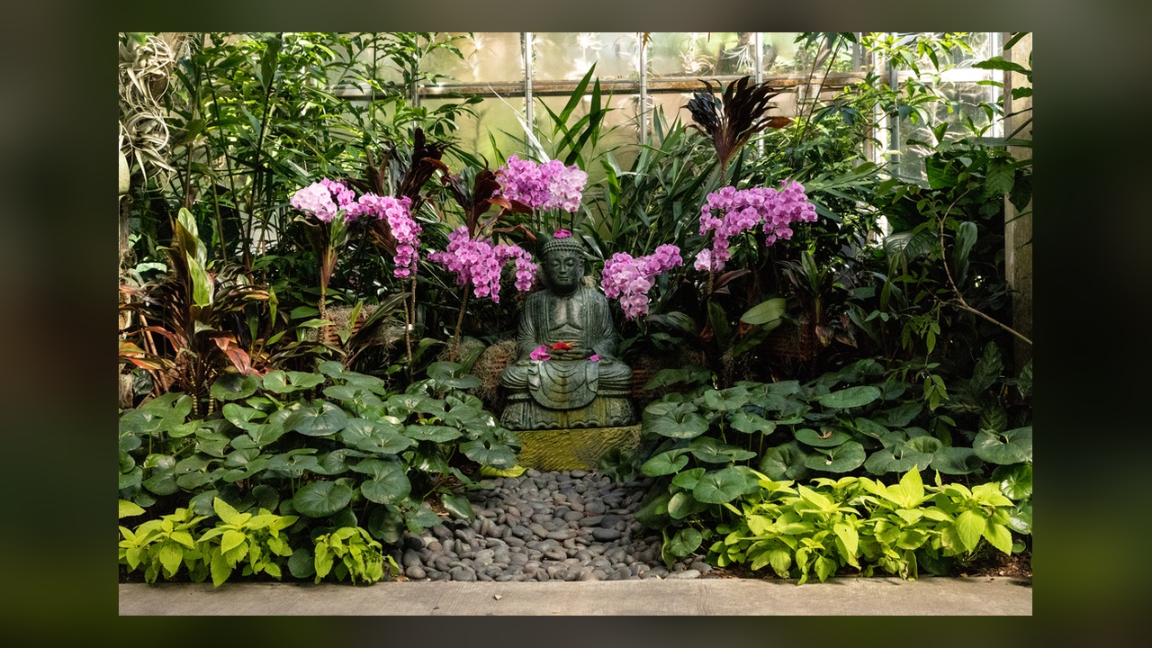 The only botanical garden on TIME’s world list is right here in ...
