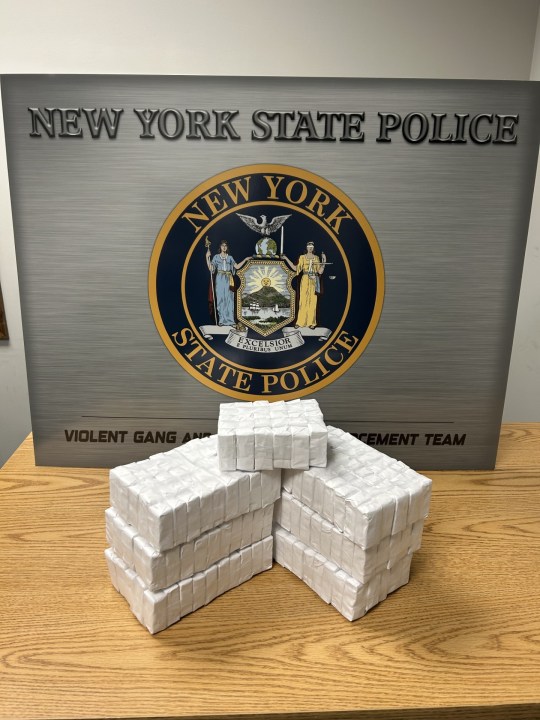 Bronx man arraigned on drug charges in Albany County Court