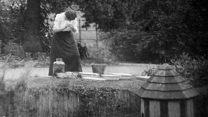 20 historical professions that were incredibly popular in the past