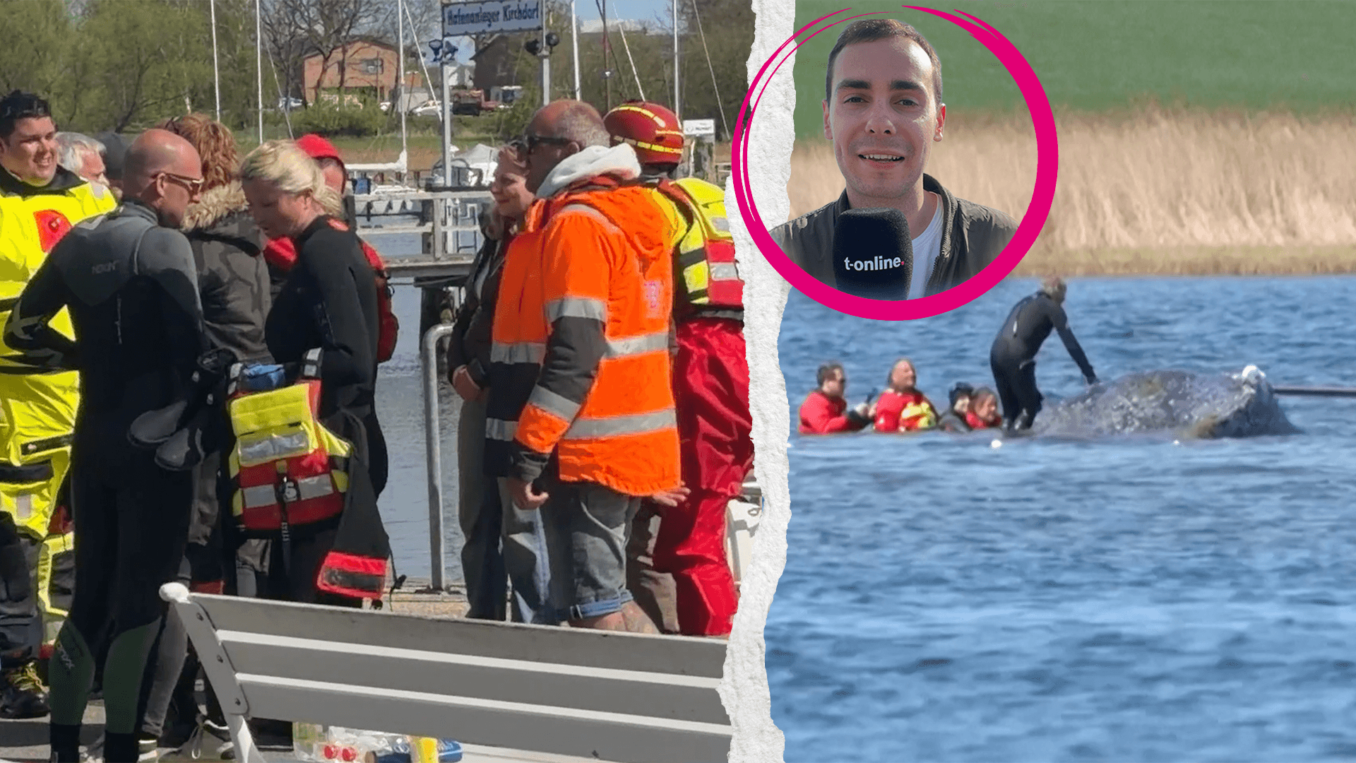 Jubelschreie und Tränen: So emotional war die Rettung von Timmy