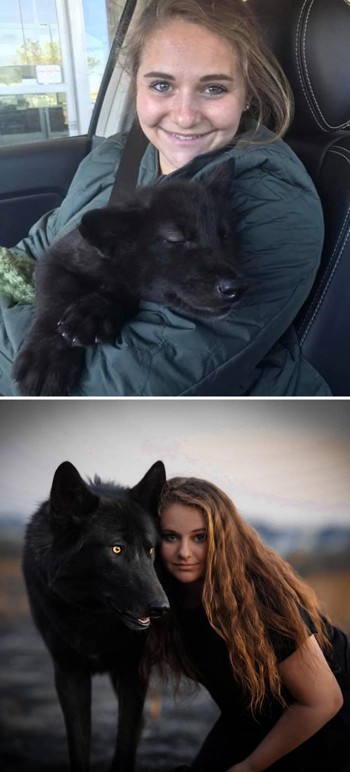29 Heartwarming Pet “Then And Now” Pictures