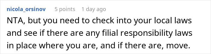 Reddit comment suggesting checking local laws regarding filial responsibility for teens with disabled siblings.