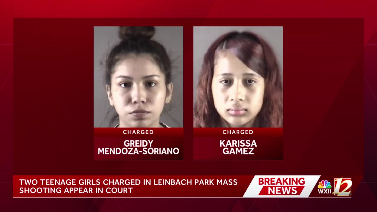 Two teenaged girls charged in Leinbach Park deadly park shooting appear ...