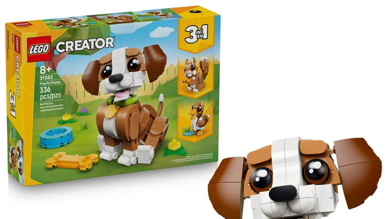 Walmart is selling a 'super cute' 336-piece LEGO dog toy that's 'great ...