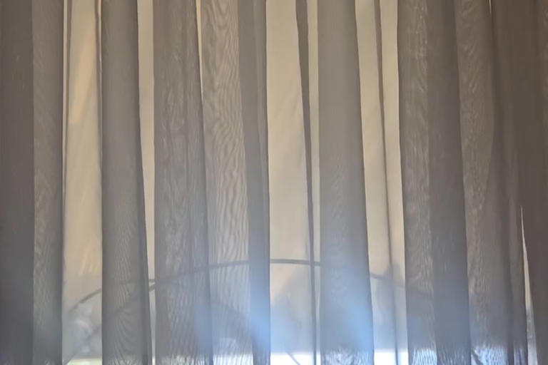 California woman driven to insanity by taunting bird that won’t leave ...