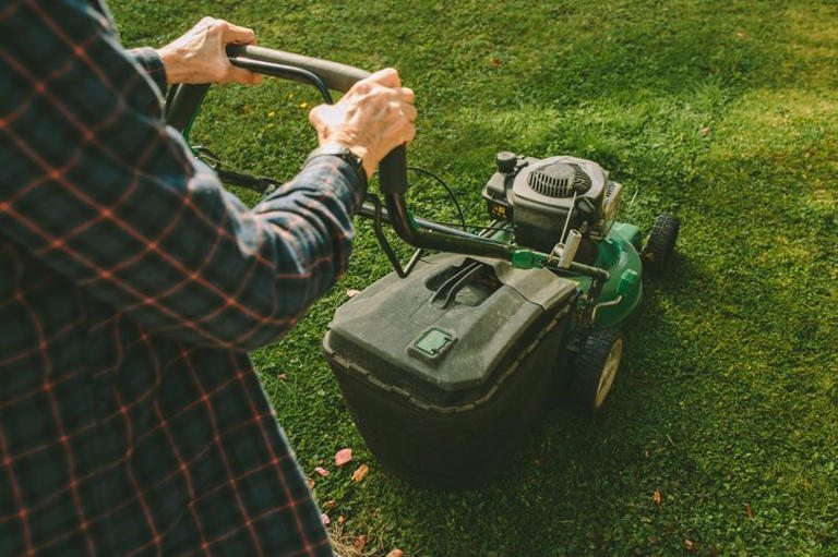 UK gardeners urged to sprinkle used coffee grounds in one important area