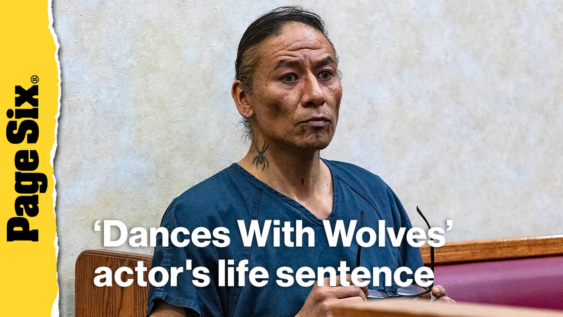 'Dances with Wolves' actor Nathan Chasing Horse sentenced to life in ...