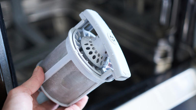 Why does my dishwasher smell? 4 issues contributing to unpleasant odors