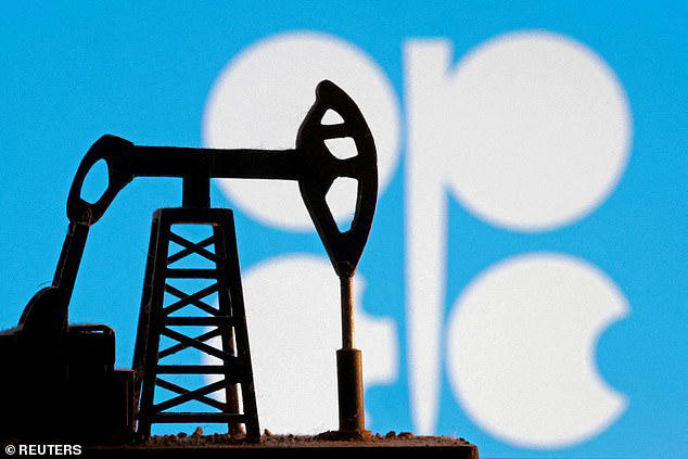 United Arab Emirates to quit OPEC after 60 years in major blow to the ...