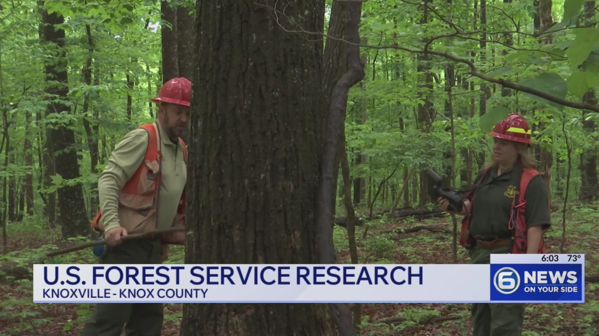 US Forest Service's Knoxville facility survives nationwide closures: A ...