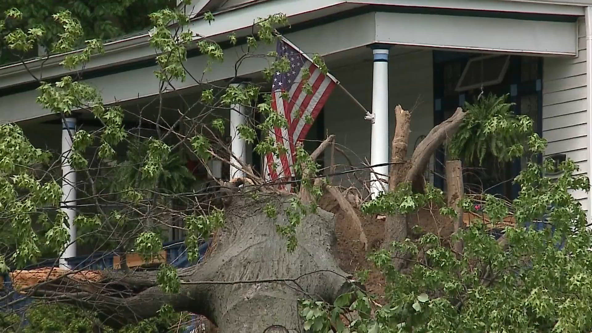 Tree slams through roof of Ferguson business, causes gas leak during storms