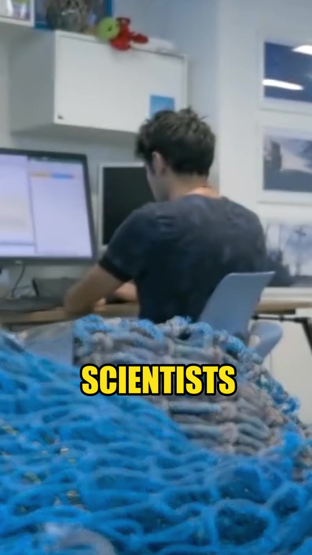 How one plastic bag turns into millions of microplastics: Shocking new ...