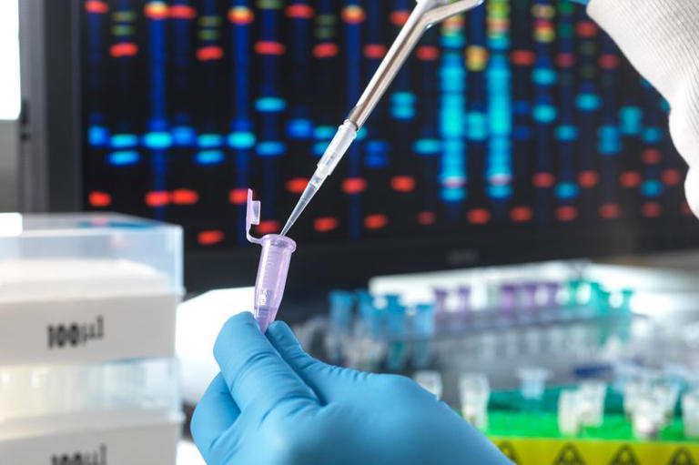 DNA breakthrough could crack thousands of unsolved crimes as net ...