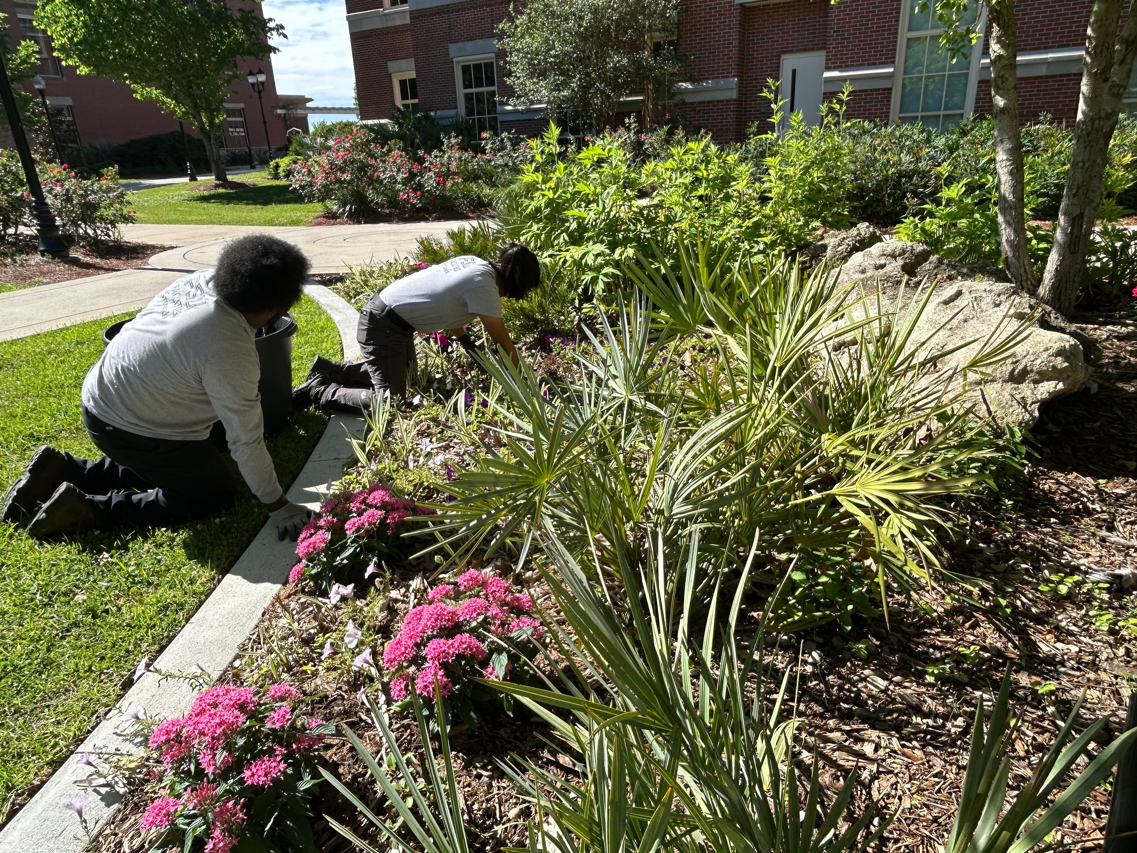 'It's very rewarding': FSU grounds & landscaping team aims to keep ...