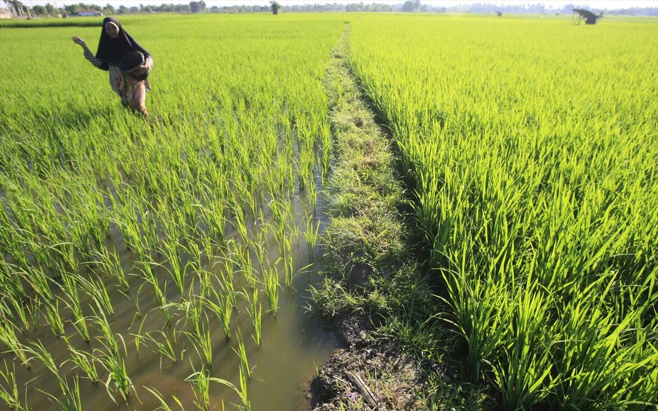 Ευρωβουλευτές ΠΑΣΟΚ: Η ΕΕ οφείλει να προστατεύσει τη δική της παραγωγή ...