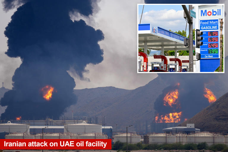 How the United Arab Emirates’ shocking OPEC exit could drive down gas ...