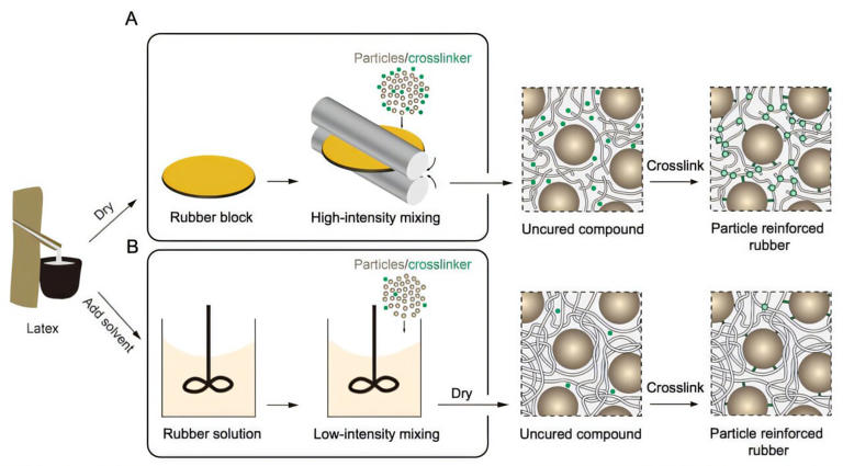 Natural rubber process boosts tire toughness about tenfold while ...