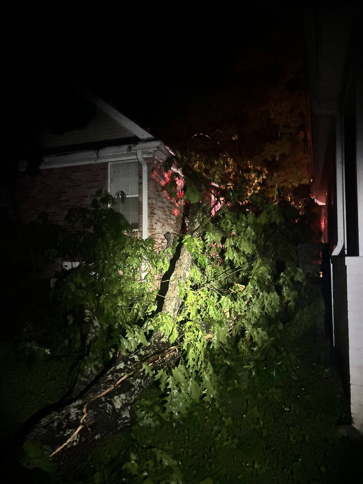 Tree falls on house during severe weather in Dickson County