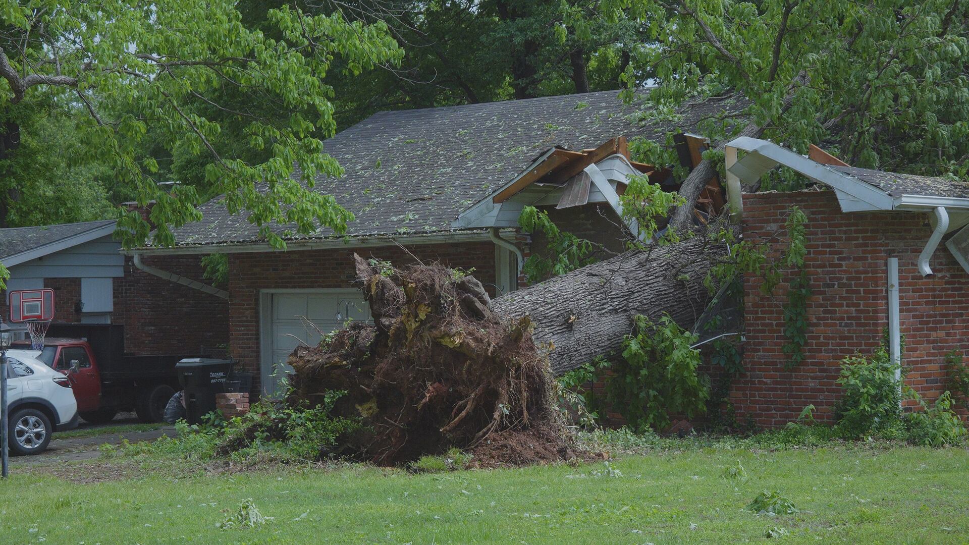Massive trees fall on homes after storms in Greene County