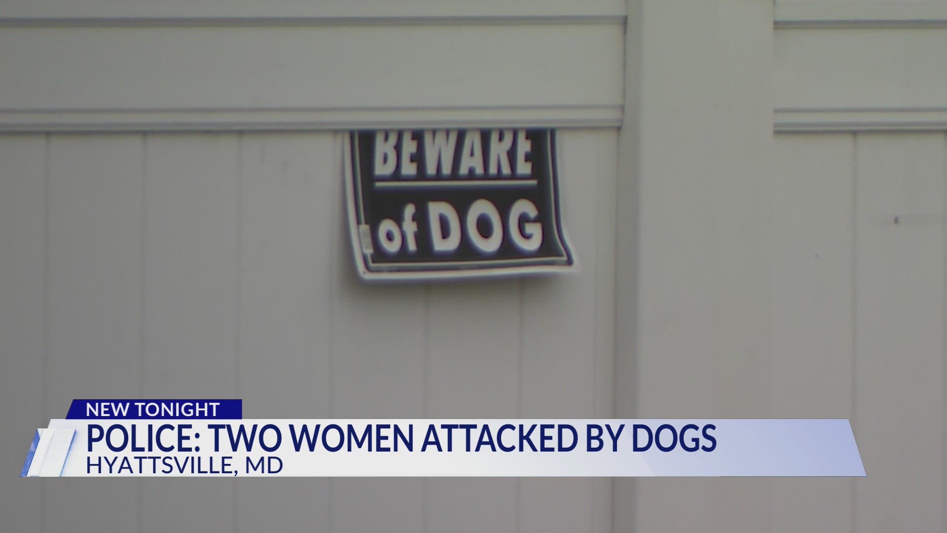 Police: 2 women, dog attacked by group of dogs in separate Hyattsville ...