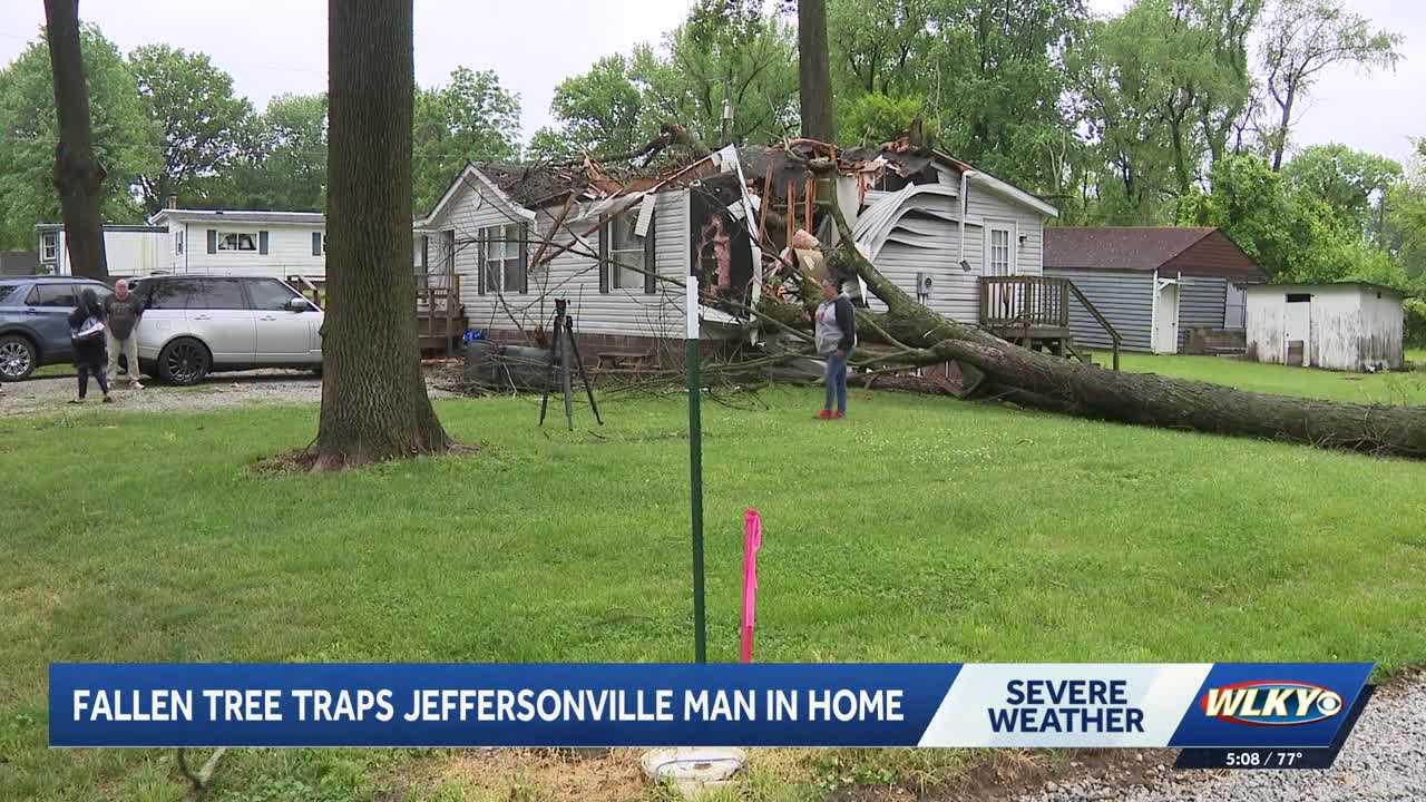 Southern Indiana man survives after tree traps him inside home during ...