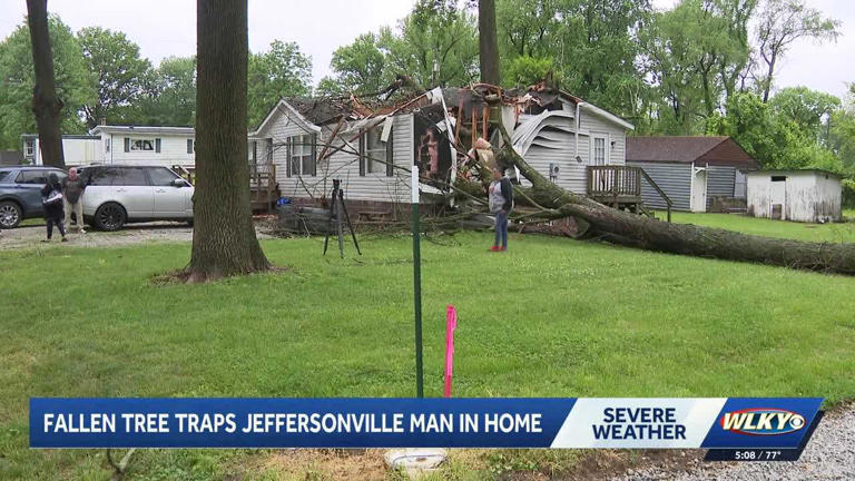 Southern Indiana man survives after tree traps him inside home during ...