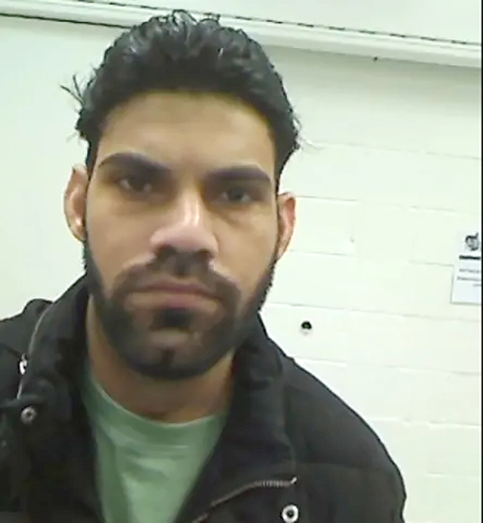 Illegal immigrant truck driver involved in tragic honeymoon deaths got ...