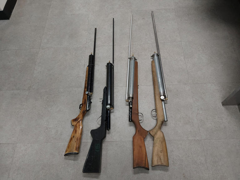 Thai nationals arrested for illegal pigeon hunting with homemade guns