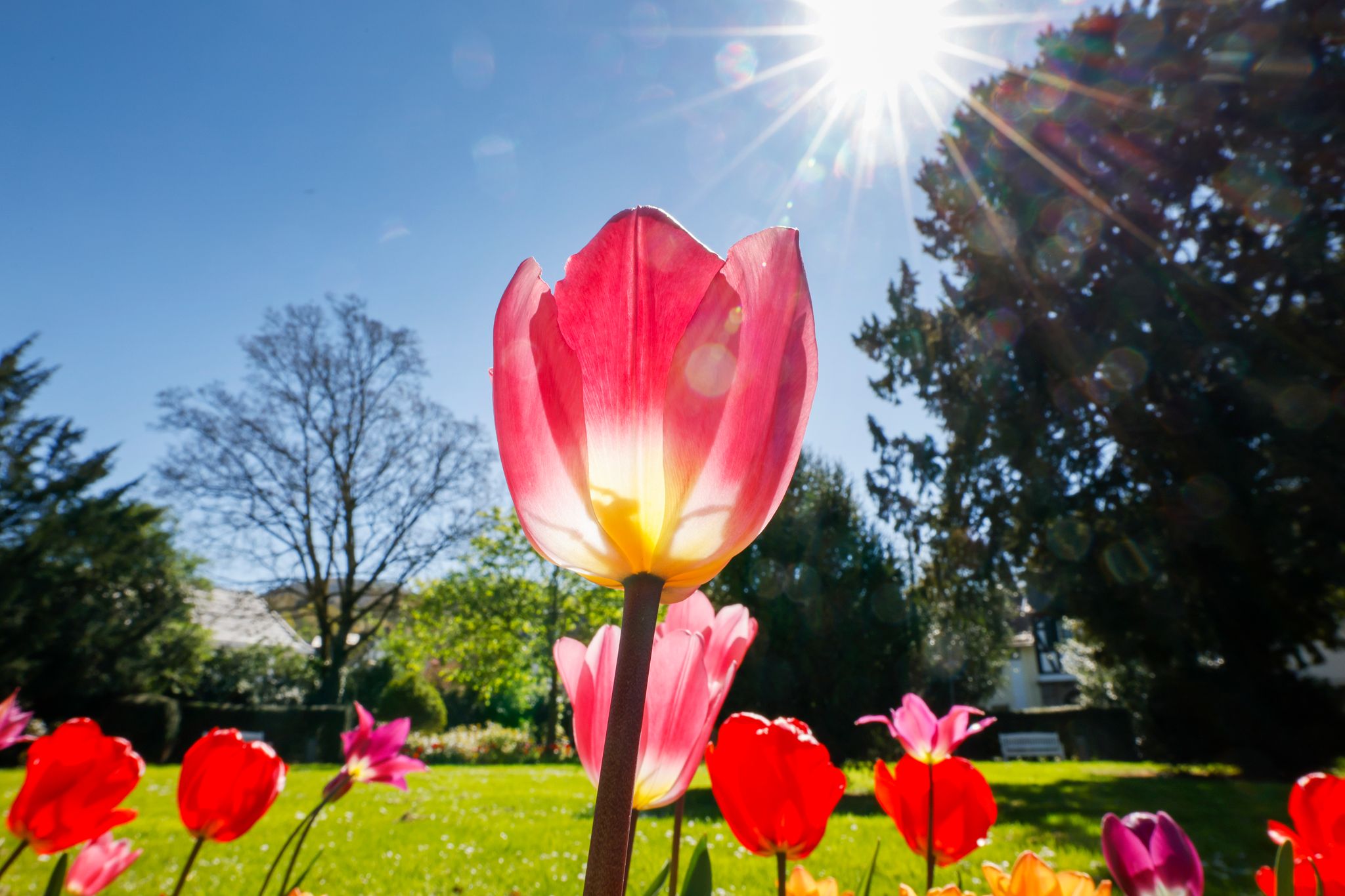 18 Mai Feiertag Niedersachsen