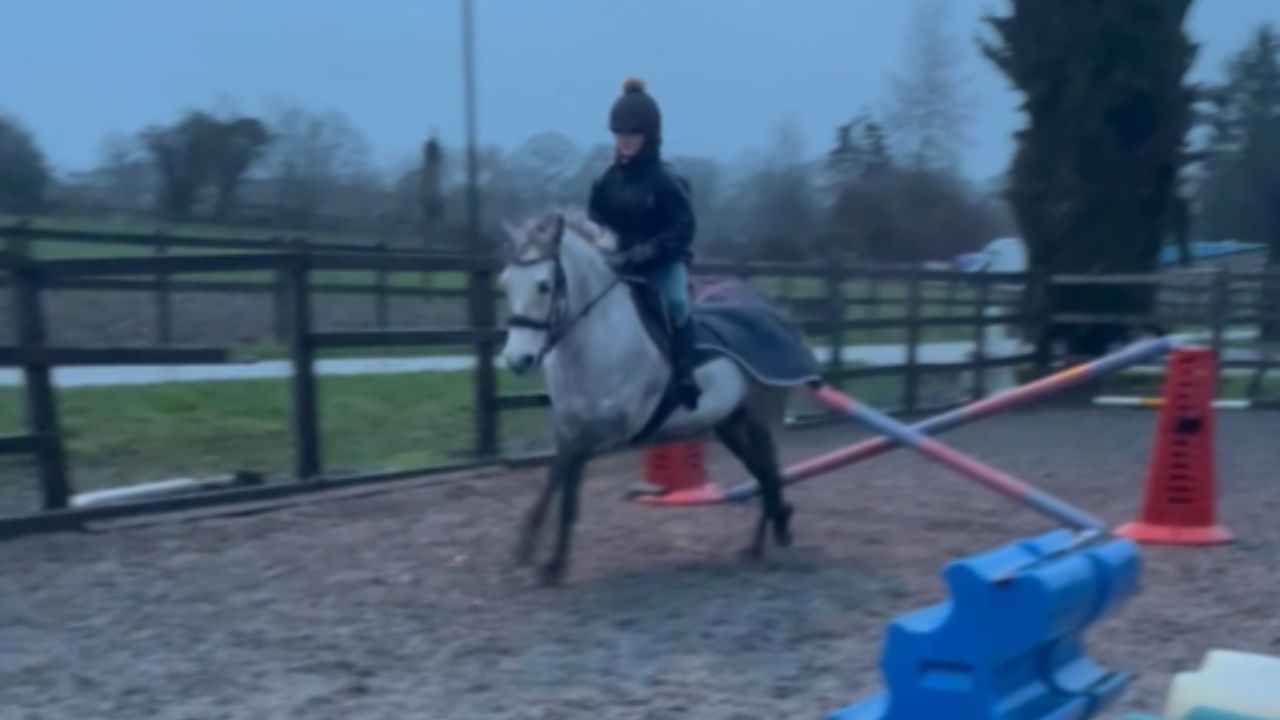 Rider thrown off as pony experiences sudden rotational fall at jump