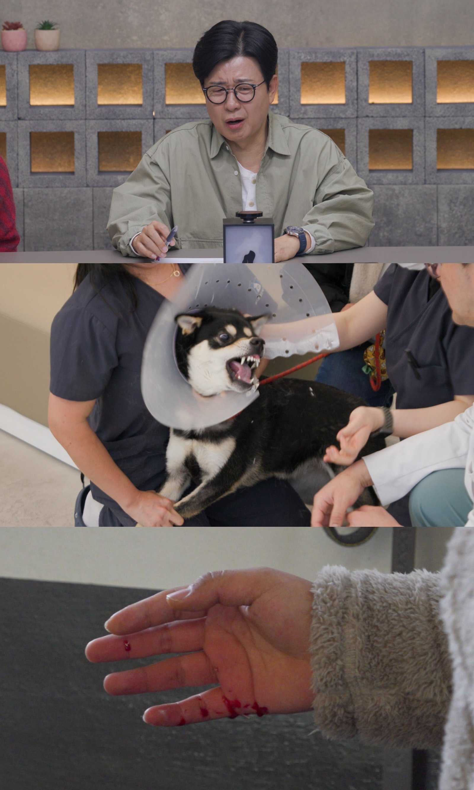 写真=チャンネルA