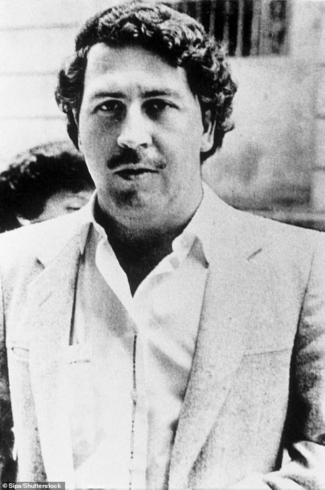 Billionaire's son offers home for hippos that escaped Escobar's zoo ...