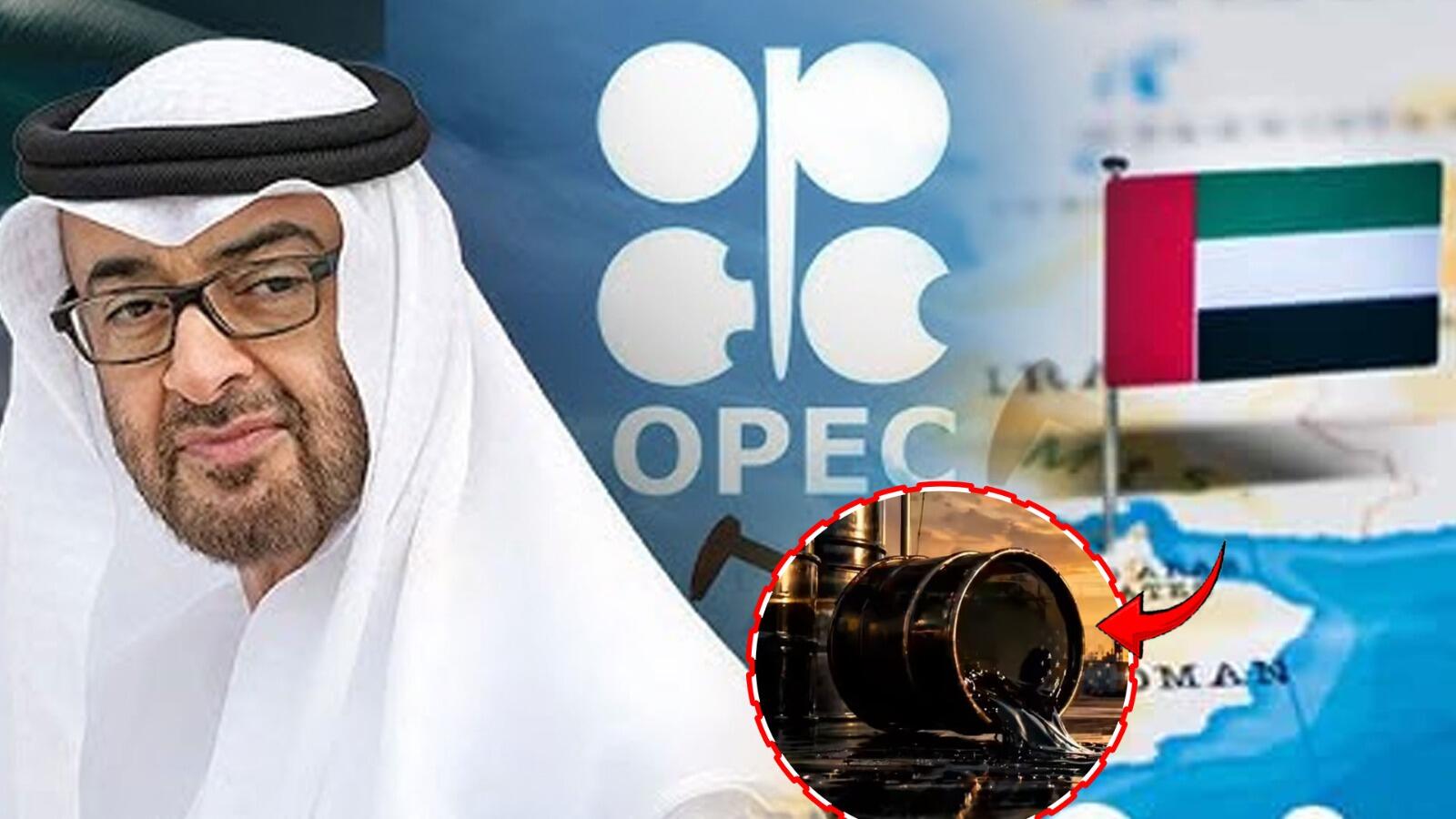 UAE quits OPEC in big oil shake-up: What it means for India